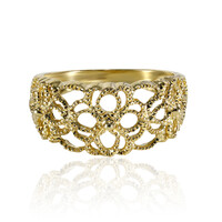 Silberring