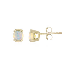 Welo-Opal-Goldohrringe