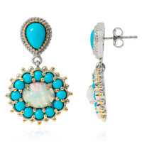 Edelstein-Silberohrringe (Dallas Prince Designs)