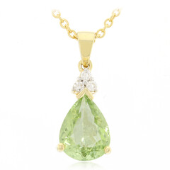 Paraiba-Turmalin-Goldhalskette (AMAYANI)