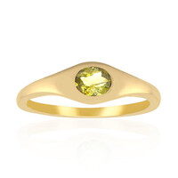 Kansas-Pallavin-Goldring