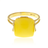 Baltischer Bernstein-Goldring