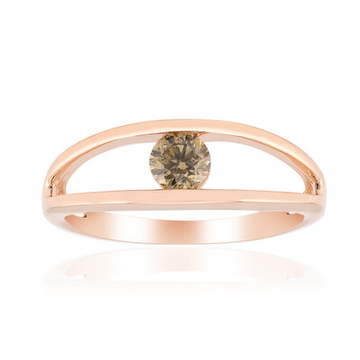 VS1 Argyle-Rose de France-Brillant-Goldring (Annette)