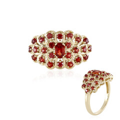 Tansania-Rubin-Goldring
