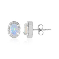 Welo-Opal-Silberohrringe