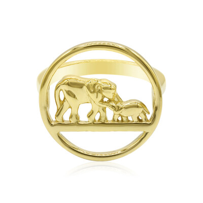 Silberring