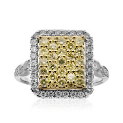 I1 (H) Brillant-Goldring (CIRARI)