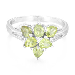 Paraiba-Turmalin-Silberring