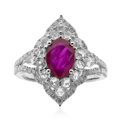 AAA-Mosambik-Rubin-Goldring (CIRARI)