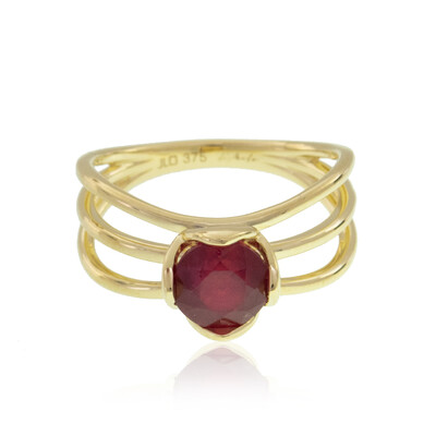 Madagaskar-Rubin-Goldring (de Melo)