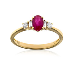 AAA-Mosambik-Rubin-Goldring (CIRARI)