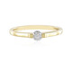 IF (G) Brillant-Goldring (de Melo)