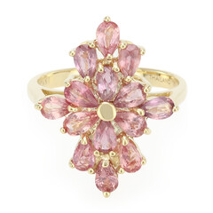 Nicht erhitzter Padparadscha-Saphir-Goldring (AMAYANI)