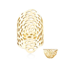 Silberring