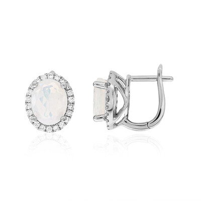 Welo-Opal-Platinohrringe