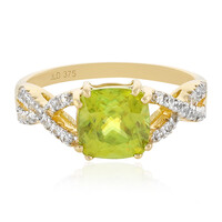 Sphen-Goldring