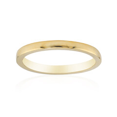 Silberring