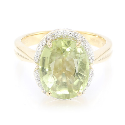 Paraiba-Turmalin-Goldring (AMAYANI)