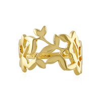 Silberring