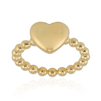 Silberring