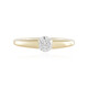 I2 (G) Brillant-Goldring (de Melo)