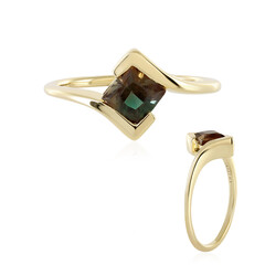 Oregon-Sonnenstein-Goldring (AMAYANI)