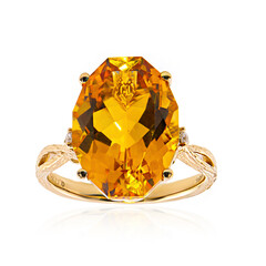 Citrin-Goldring (Smithsonian)