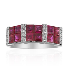 AAA-Mosambik-Rubin-Goldring (CIRARI)