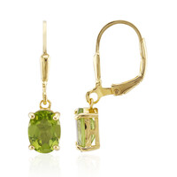 Burmesischer Peridot-Silberohrringe