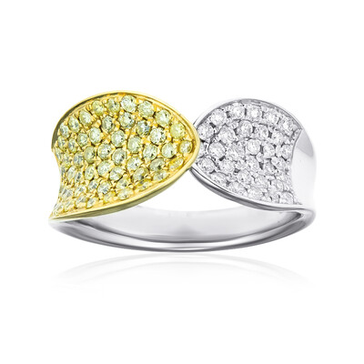 SI2 Brillant-Goldring (CIRARI)