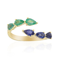 Edelstein-Goldring (CIRARI)