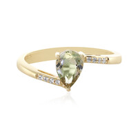 Oregon-Sonnenstein-Goldring