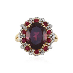 AAA-Umbalit-Goldring (D'vyere)