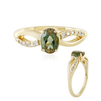 Oregon-Sonnenstein-Goldring (AMAYANI)