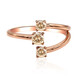 VS1 Argyle-Rose de France-Brillant-Goldring (Annette)