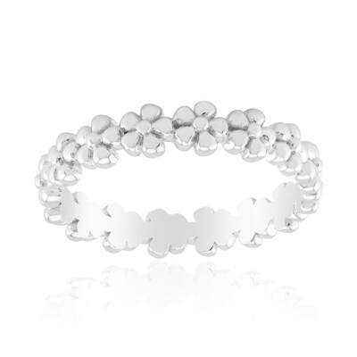 Silberring