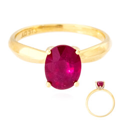 Madagaskar-Rubin-Goldring (de Melo)