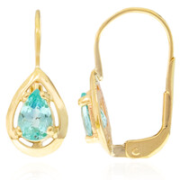 Paraiba-Turmalin-Goldohrringe (CUSTODANA)