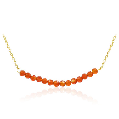 Oranger Achat-Silbercollier