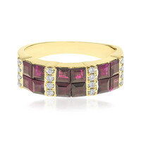 AAA-Mosambik-Rubin-Goldring (CIRARI)