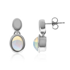 AAA-Welo-Opal-Goldohrringe (CUSTODANA)
