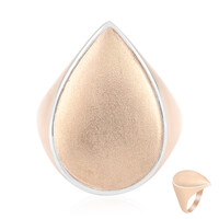 Silberring