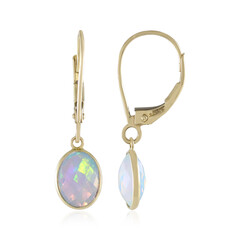 Welo-Opal-Goldohrringe