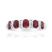 AAA-Mosambik-Rubin-Goldring (CIRARI)
