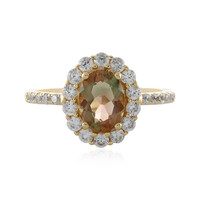 Oregon-Sonnenstein-Goldring