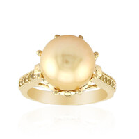 Goldene Kabira-Südseeperlen-Goldring (TPC)