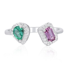 Edelstein-Goldring (CIRARI)