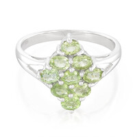 Paraiba-Turmalin-Silberring