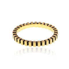 Silberring
