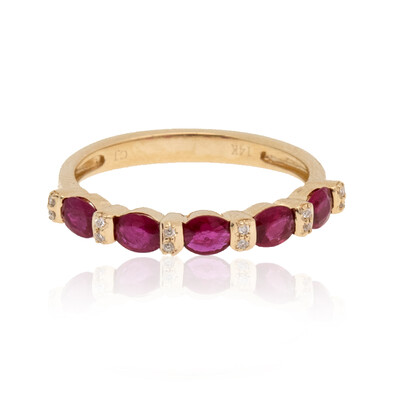 AAA-Mosambik-Rubin-Goldring (CIRARI)